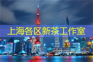 华师地理教育的考试科目是什么,参考书有哪些? 华师地理教育的考试科目是什么,参考书有哪些?