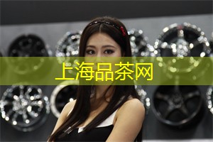 美丽的心伤 美丽的心伤