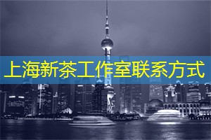 上海茶庄中的泡茶艺术 上海茶庄中的泡茶艺术